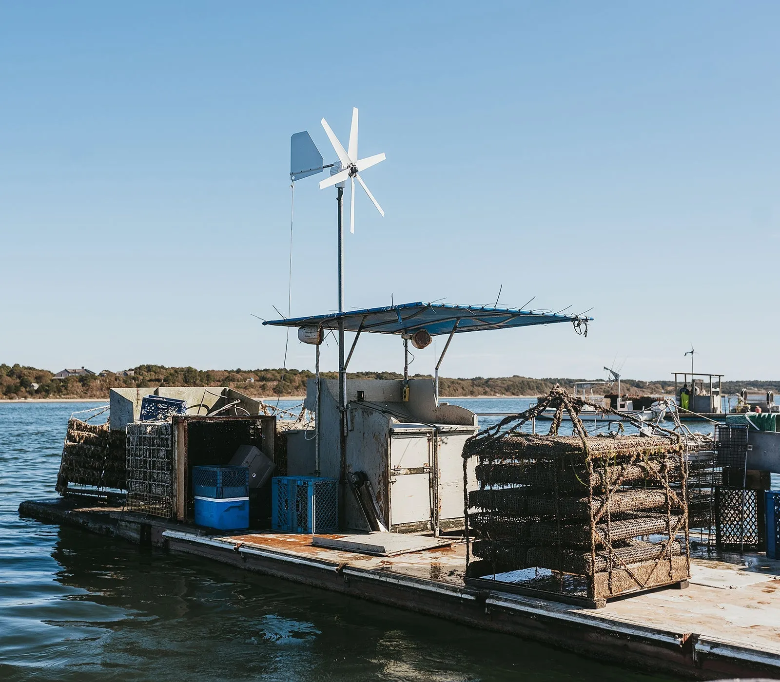 Sweet Neck Oysters from Martha's Vineyard, MA
